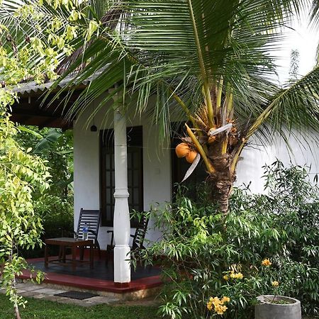 Bay Hill Guest House 탕갈레 외부 사진