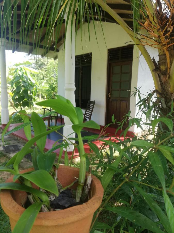Bay Hill Guest House 탕갈레 외부 사진
