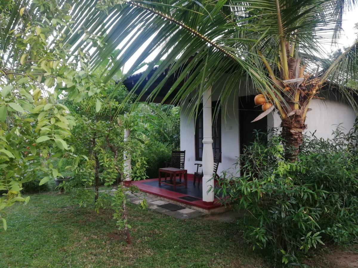Bay Hill Guest House 탕갈레 외부 사진
