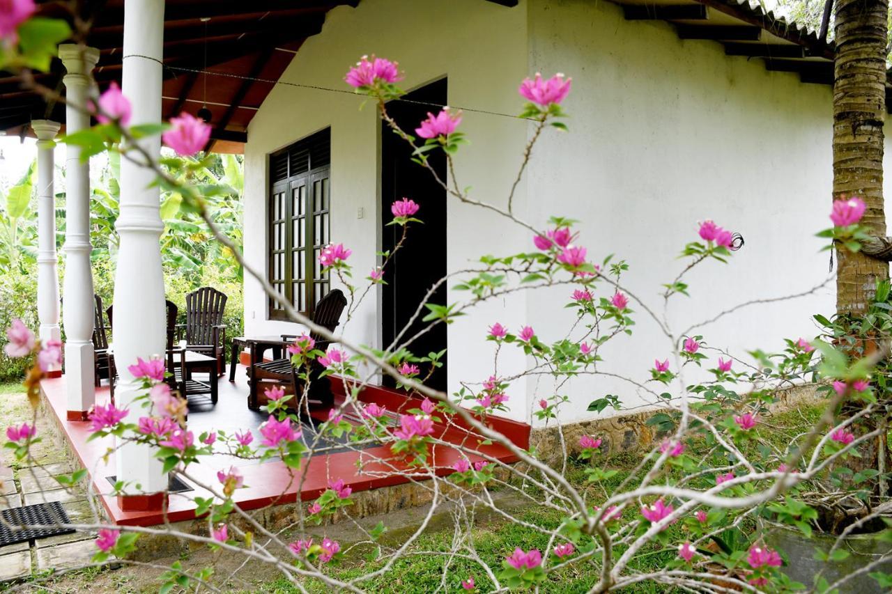 Bay Hill Guest House 탕갈레 외부 사진