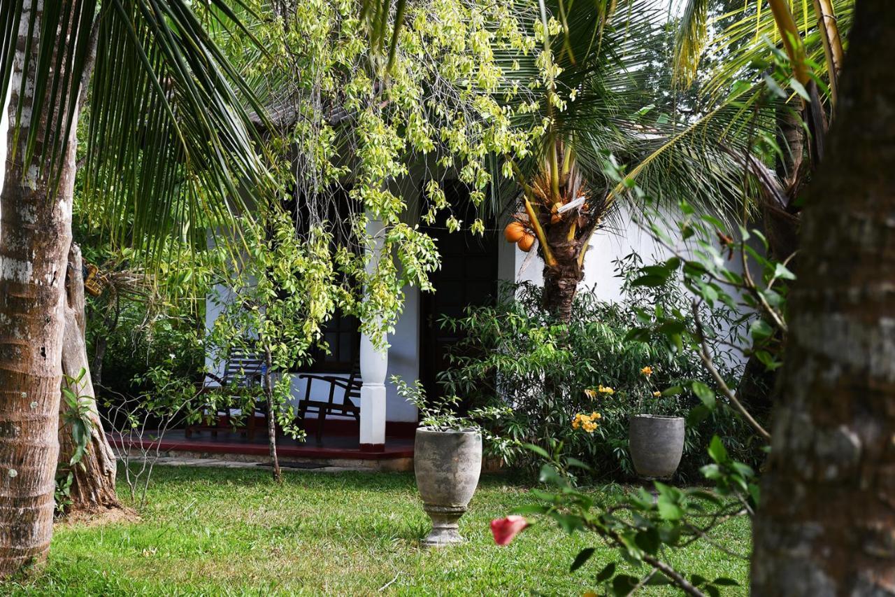 Bay Hill Guest House 탕갈레 외부 사진