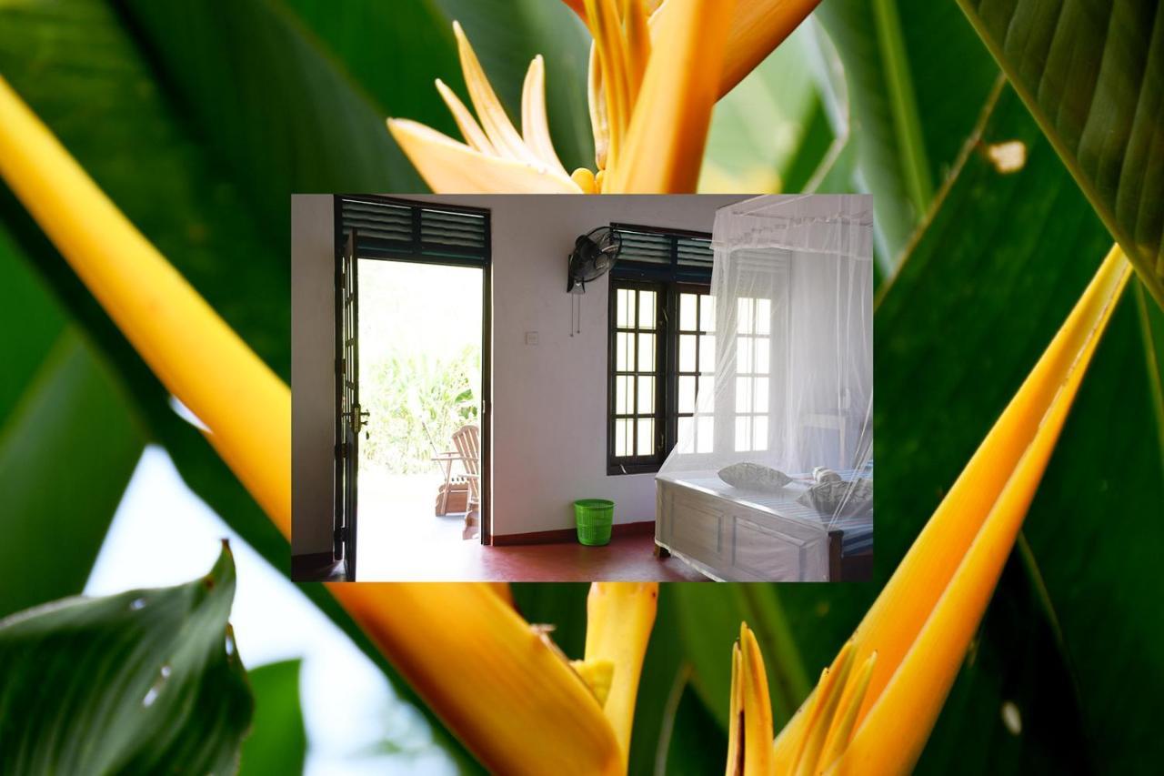 Bay Hill Guest House 탕갈레 외부 사진