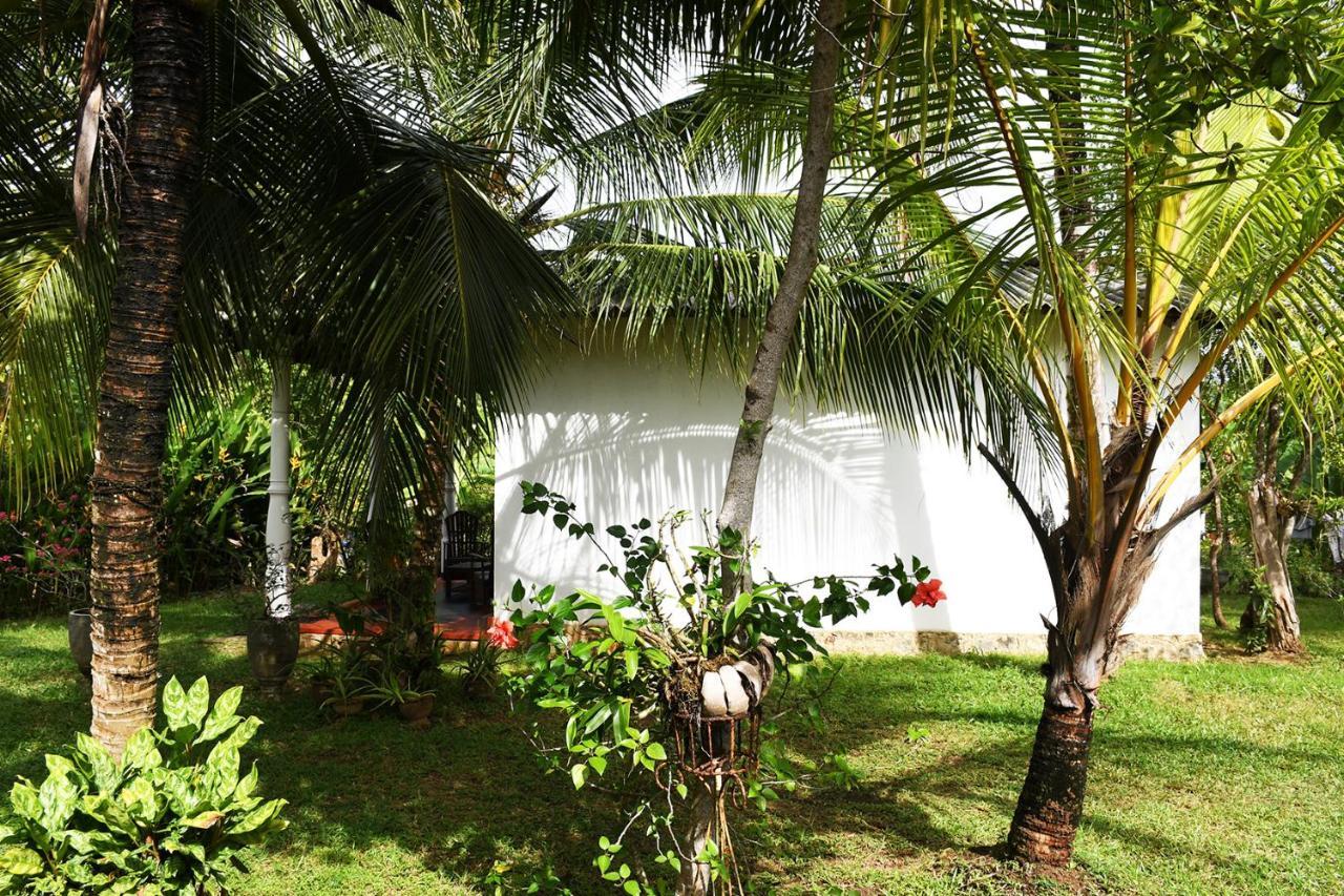 Bay Hill Guest House 탕갈레 외부 사진